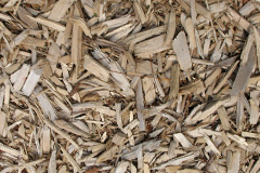 biomass boilers Frongoch